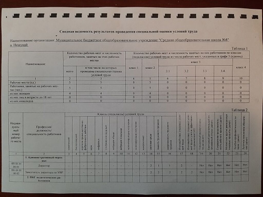 Сводная ведомость результатов проведения специальной оценки условий труда